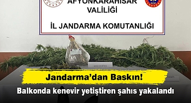 Jandarma’dan Baskın! Balkonda kenevir yetiştiren şahıs yakalandı