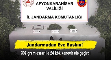 Jandarmadan Eve Baskın! 307 gram esrar ile 24 kök kenevir ele geçirdi