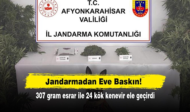 Jandarmadan Eve Baskın!  307 gram esrar ile 24 kök kenevir ele geçirdi