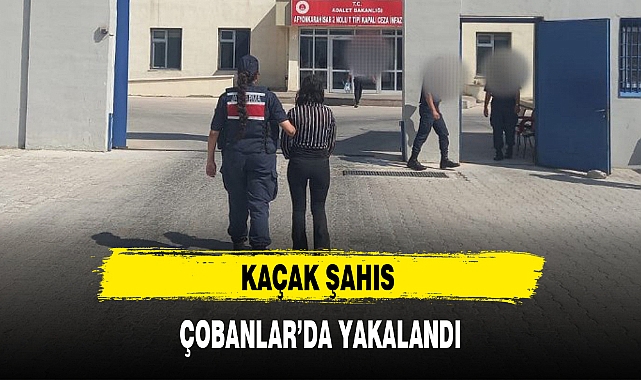 KAÇAK ŞAHIS ÇOBANLAR'DA YAKALANDI