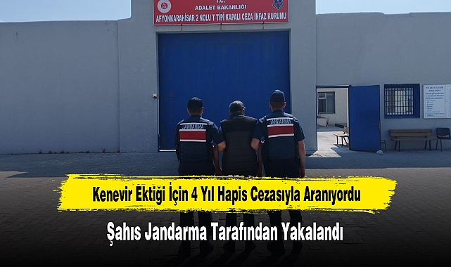 Kenevir Ektiği İçin 4 Yıl Hapis Cezasıyla Aranıyordu