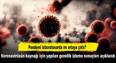 Koronavirüsün kaynağı için yapılan genetik izleme sonuçları açıklandı
