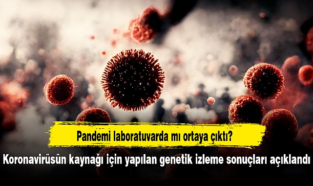 Koronavirüsün kaynağı için yapılan genetik izleme sonuçları açıklandı
