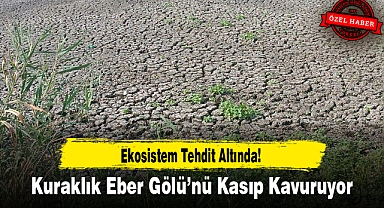 Kuraklık Eber Gölü’nü Kasıp Kavuruyor: Ekosistem Tehdit Altında!