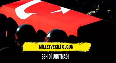 MİLLETVEKİLİ OLGUN ŞEHİDİ UNUTMADI