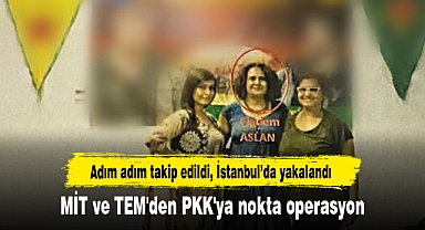 MİT ve TEM'den PKK'ya nokta operasyon