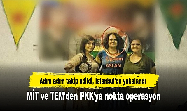 MİT ve TEM'den PKK'ya nokta operasyon