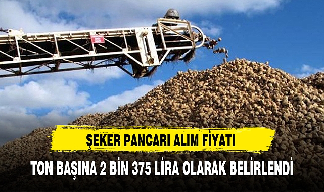 ŞEKER PANCARI ALIM FİYATI TON BAŞINA 2 BİN 375 LİRA OLARAK BELİRLENDİ