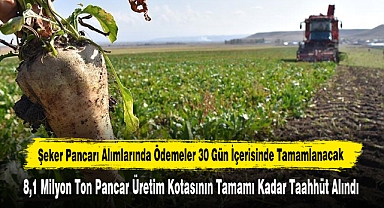 Şeker Pancarı Alımlarında Ödemeler 30 Gün İçerisinde Tamamlanacak