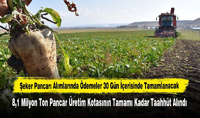 Şeker Pancarı Alımlarında Ödemeler 30 Gün İçerisinde Tamamlanacak