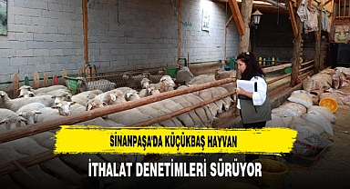 Sinanpaşa'da Küçükbaş Hayvan İthalat Denetimleri Sürüyor