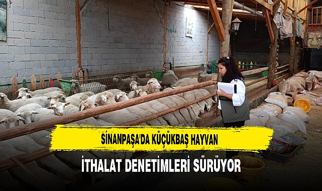 Sinanpaşa'da Küçükbaş Hayvan İthalat Denetimleri Sürüyor