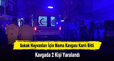 Sokak Hayvanları İçin Mama Kavgası Kanlı Bitti: 2 Yaralı