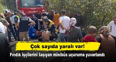 SON DAKİKA: Çok sayıda yaralı var! Fındık işçilerini taşıyan minibüs uçuruma yuvarlandı