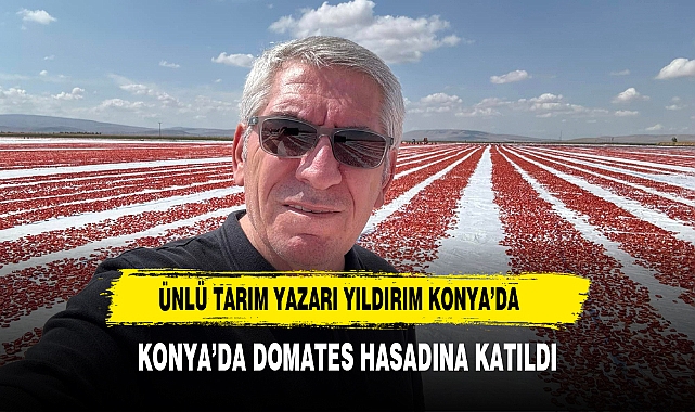 Tarım Yazarı Ali Ekber Yıldırım Konya’da Domates Hasadına Katıldı