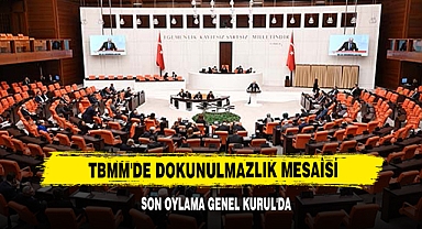 TBMM'DE DOKUNULMAZLIK MESAİSİ