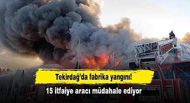 Tekirdağ'da fabrika yangını! 15 itfaiye aracı müdahale ediyor