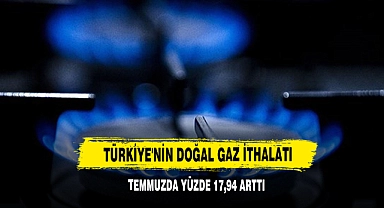 Türkiye'nin Doğal Gaz İthalatı Temmuzda Yüzde 17,94 Arttı