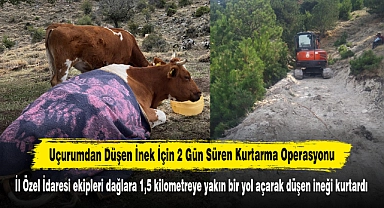 Uçurumdan Düşen İnek İçin 2 Gün Süren Kurtarma Operasyonu!  İl Özel İdaresi ekipleri dağlara 1,5 kilometreye yakın bir yol açarak düşen ineği kurtardı