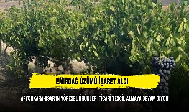Hevek – Devegözü Üzümüne Coğrafi İşaret Tescili İçin Başvuru Yapıldı