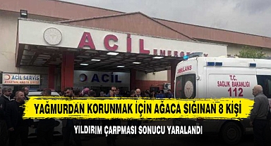 Yağmurdan Korunmak İçin Ağaca Sığınan 8 Kişi Yıldırım Çarpması Sonucu Yaralandı