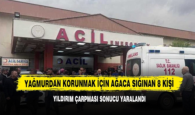 Yağmurdan Korunmak İçin Ağaca Sığınan 8 Kişi Yıldırım Çarpması Sonucu Yaralandı