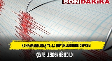 4.4 BÜYÜKLÜĞÜNDE DEPREM ÇEVRE İLLERDEN HİSSEDİLDİ