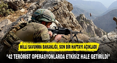 “42 TERÖRİST OPERASYONLARDA ETKİSİZ HALE GETİRİLDİ”