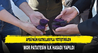 AFSÜ’nün Katkılarıyla Yetiştirilen Mor Patatesin İlk Hasadı Yapıldı