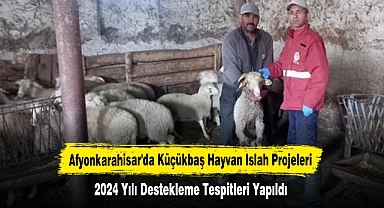 Afyonkarahisar'da Küçükbaş Hayvan Islah Projeleri İçin 2024 Yılı Destekleme Tespitleri Yapıldı