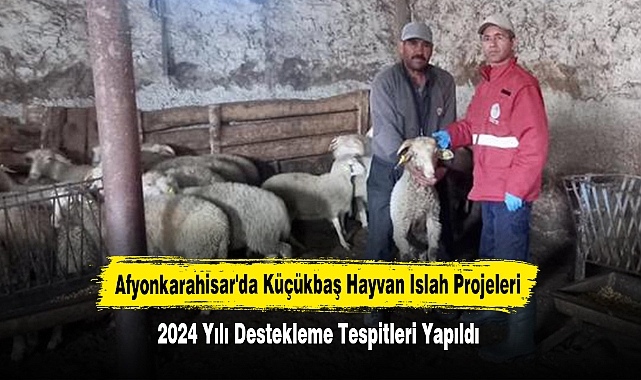 Afyonkarahisar'da Küçükbaş Hayvan Islah Projeleri İçin 2024 Yılı Destekleme Tespitleri Yapıldı