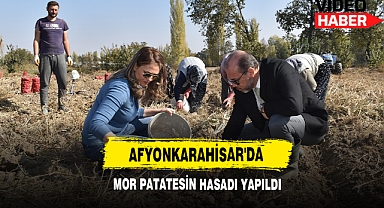 Afyonkarahisar'da Mor Patatesin Hasadı Yapıldı