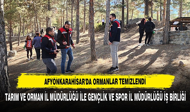 Afyonkarahisar'da Ormanlar Temizlendi