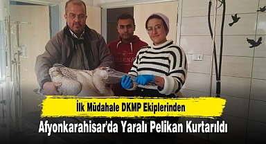 Afyonkarahisar'da Yaralı Pelikan Kurtarıldı