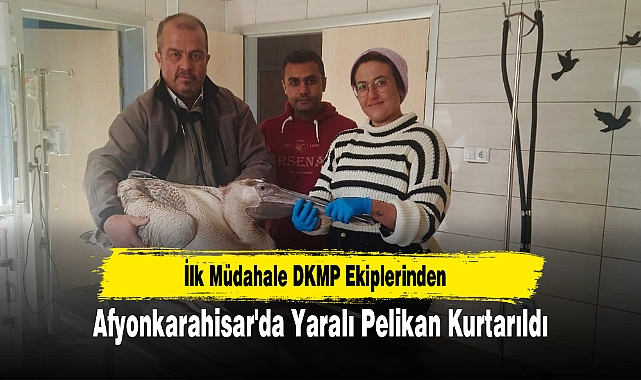 Afyonkarahisar'da Yaralı Pelikan Kurtarıldı