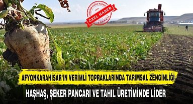 AFYONKARAHİSAR’IN VERİMLİ TOPRAKLARINDA TARIMSAL ZENGİNLİĞİ