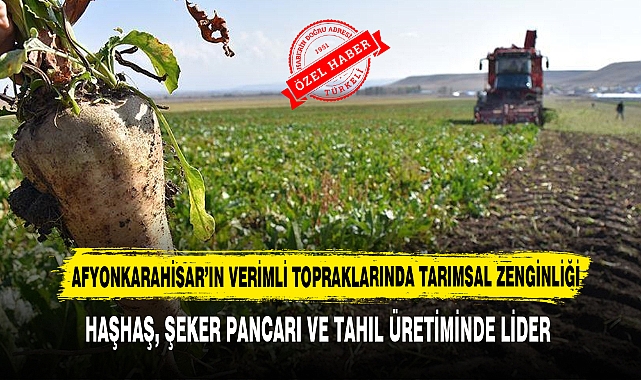 AFYONKARAHİSAR’IN VERİMLİ TOPRAKLARINDA TARIMSAL ZENGİNLİĞİ