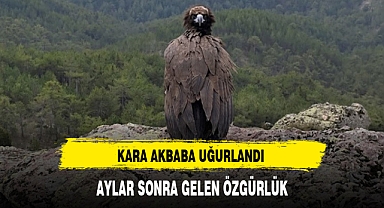 AYLAR SONRA GELEN ÖZGÜRLÜK