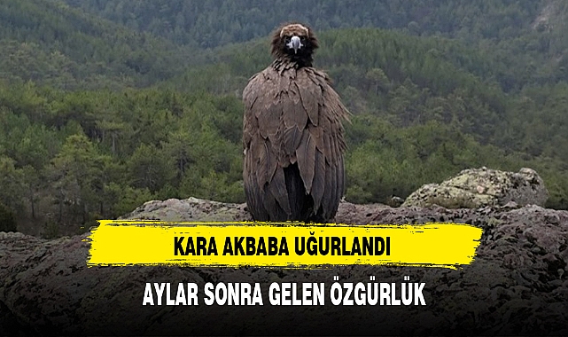 AYLAR SONRA GELEN ÖZGÜRLÜK