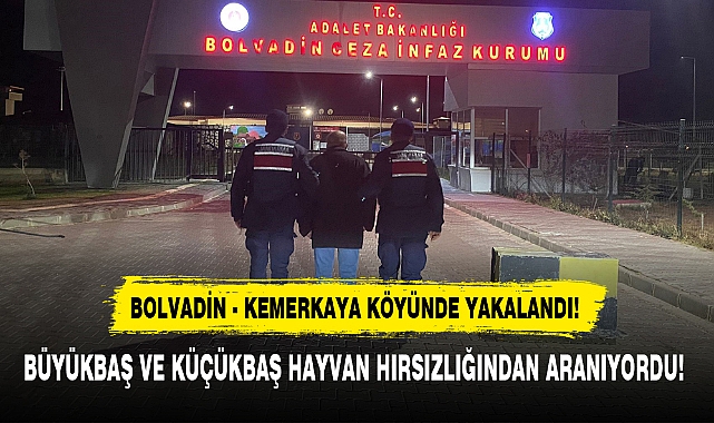 BÜYÜKBAŞ VE KÜÇÜKBAŞ HAYVAN HIRSIZLIĞINDAN ARANIYORDU!