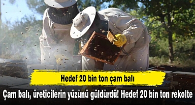 Çam balı, üreticilerin yüzünü güldürdü! Hedef 20 bin ton rekolte