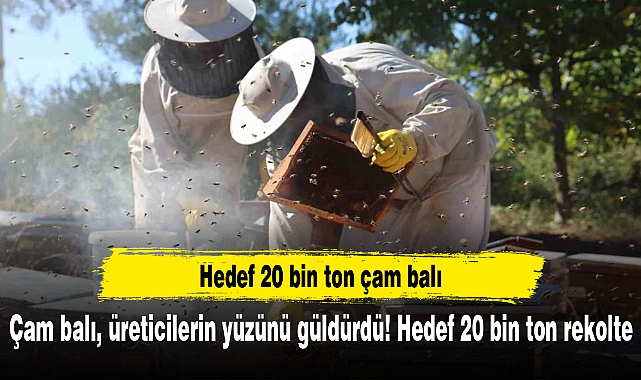 Çam balı, üreticilerin yüzünü güldürdü! Hedef 20 bin ton rekolte