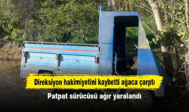 Direksiyon hakimiyetini kaybetti ağaca çarptı: Patpat sürücüsü ağır yaralandı