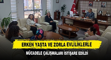 Erken Yaşta ve Zorla Evliliklerle Mücadele Çalışmaları İstişare Edildi