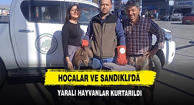 Hocalar Ve Sandıklı'da Yaralı Hayvanlar Kurtarıldı