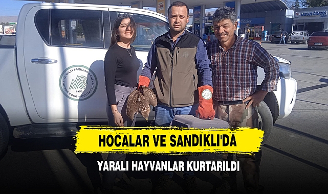 Hocalar Ve Sandıklı'da Yaralı Hayvanlar Kurtarıldı
