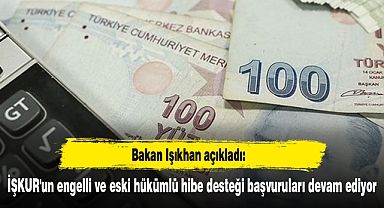 İŞKUR'un engelli ve eski hükümlü hibe desteği başvuruları devam ediyor