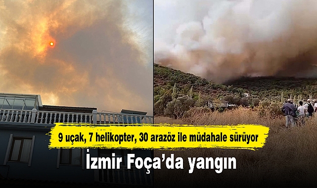 İzmir Foça’da yangın