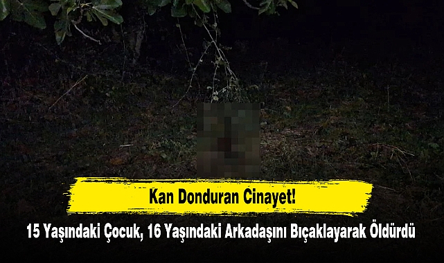 Kan Donduran Cinayet: 15 Yaşındaki Çocuk, 16 Yaşındaki Arkadaşını Bıçaklayarak Öldürdü