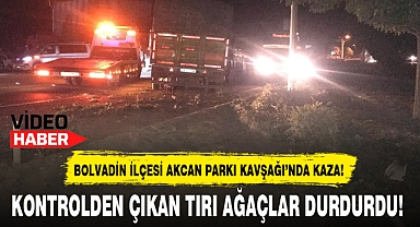 KONTROLDEN ÇIKAN TIRI AĞAÇLAR DURDURDU!
